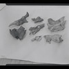 Unidentified