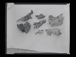 Unidentified