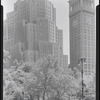 Madison Square Park. New York, NY