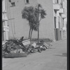 Construction debris and palm trees