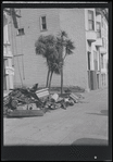 Construction debris and palm trees
