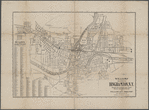 Williams' map of the City of Binghamton, N.Y.