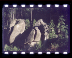 Boulders surrounded by trees