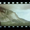 Trees and rocky mountainside