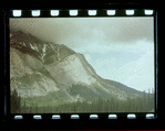 Trees and rocky mountainside