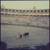 Spanish bullfighting