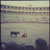 Spanish bullfighting