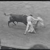 Spanish bullfighting