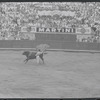 Spanish bullfighting
