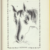 Paul's Horse Herman