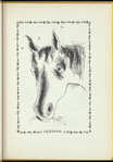 Paul's Horse Herman