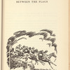 The Race between the Flags