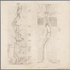 Geology of the Genesee River
