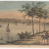 Albany, N.Y.