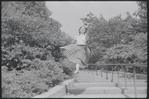 Larry Kert and Carol Lawrence on location in Central Park for publicity for the stage production West Side Story