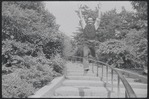 Larry Kert and Carol Lawrence on location in Central Park for publicity for the stage production West Side Story