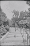 Larry Kert and Carol Lawrence on location in Central Park for publicity for the stage production West Side Story