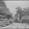 Larry Kert and Carol Lawrence on location in Central Park for publicity for the stage production West Side Story