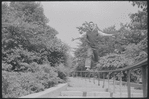 Larry Kert and Carol Lawrence on location in Central Park for publicity for the stage production West Side Story
