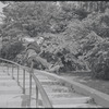 Larry Kert and Carol Lawrence on location in Central Park for publicity for the stage production West Side Story