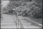 Larry Kert and Carol Lawrence on location in Central Park for publicity for the stage production West Side Story