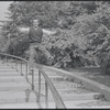 Larry Kert and Carol Lawrence on location in Central Park for publicity for the stage production West Side Story