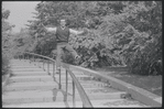 Larry Kert and Carol Lawrence on location in Central Park for publicity for the stage production West Side Story
