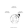Rohatyn