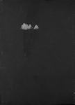 ha-ʻAyarah bi-lehavot
