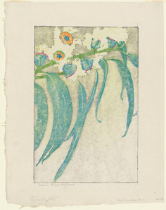 Drawings, prints, and watercolors by Edna Boies Hopkins