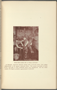 Proceedings of the International Anti-Vivisection and Animal Protection Congress held at Washington, D.C., December 8th to 11th, 1913