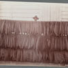 Tobacco leaves. Havana Tobacco Co.