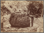 The Great Turtle. Quiriguá, Guatemala