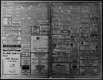 The Villager