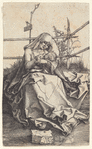 Madonna on a Grassy Bank