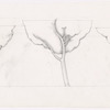 Designs
