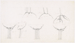 Designs