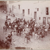 Large group on mules, seen from above