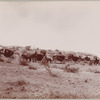 Wagons