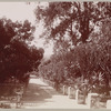 Maximillian's Garden at Cuernavaca