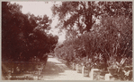 Maximillian's Garden at Cuernavaca
