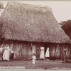 Thatched huts in the tropics