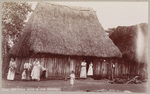 Thatched huts in the tropics