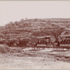 Mule train with passengers. Wagons read "Primera Classe. Ferro-Carril Tlaxcala"