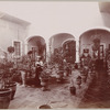 Hospicio? Guadalajara?