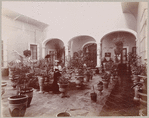 Hospicio? Guadalajara?