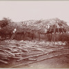 Construction of a thatched roof building