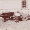 Mexican milk peddler and cart