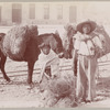 Couple with mules and hay