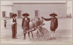 Native water cart, San Luis Potosi